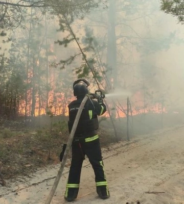Згоріло 470 гектарів через російський обстріл: рятувальники загасили пожежу в лісі на Донеччині