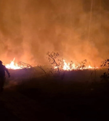 Згоріло 470 гектарів через російський обстріл: рятувальники загасили пожежу в лісі на Донеччині