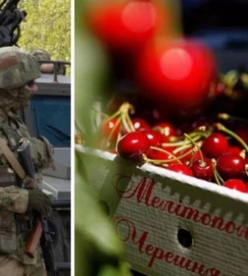 Какой будет в Украине цена на черешню из-за оккупации Мелитополя - прогноз