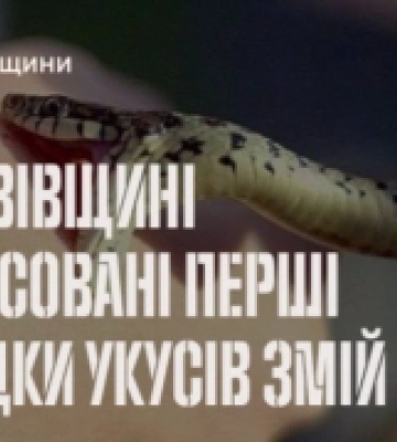 На Львівщині зафіксували перші випадки укусів змій