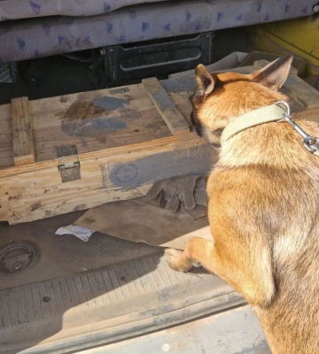 Водій під Харковом віз 35 кг вибухівки та 170 детонаторів – Нацгвардія