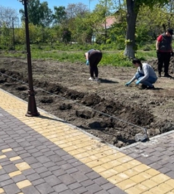 На Вінниччині створюють трояндові Алеї слави на честь загиблих захисників