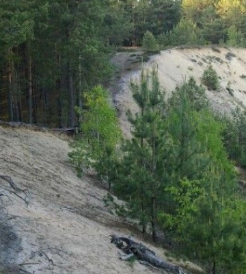 На Волині незаконно дозволили видобувати пісок в «Старовижівському Буковелі»: прокуратура оскаржує рішення