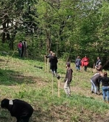 У Львові  у парку «Знесіння» переселенці висадили сто саджанців дуба