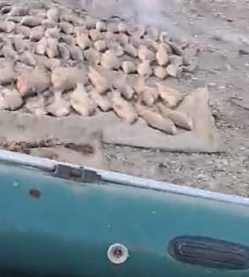 На Днепропетровщине мужчина незаконно выловил рыбы на почти 270 тысяч гривен убытков