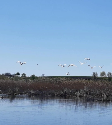 Волинські екологи виявили факти розорювання земель біля водойм