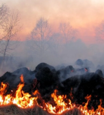 Учора вогнеборці Львівщини 11 разів виїжджали на ліквідацію пожеж сухостою