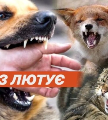 На Дніпропетровщині зафіксували спалах сказу