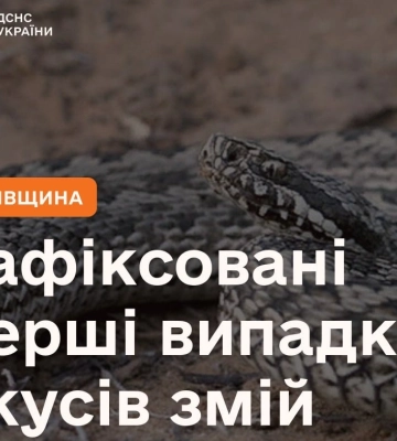 Двоє мешканців Львівщини постраждали від укусів змій, один у важкому стані