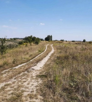 Депутат сільради на Львівщині привласнив ділянку, де мали будувати дорогу