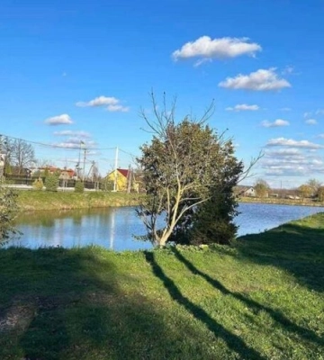 Дубляни відзначають 584 роки. Програма