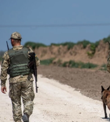 На Одещині напали на прикордонника: на кордоні затримали росіянина на киянина