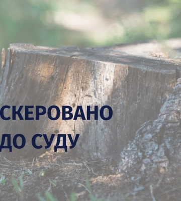 Допустив самовільну рубку ялин зі збитками на понад пів мільйона гривень – судитимуть помічника лісничого одного з підрозділів&amp;hellip;