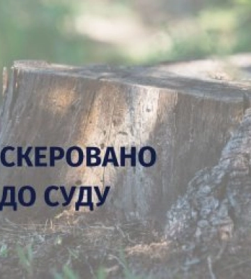Допустив самовільну рубку ялин зі збитками на понад пів мільйона гривень – судитимуть помічника лісничого одного з підрозділів «Ясінянського ЛМГ»