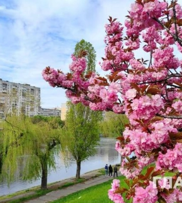 Невеликий дощ, до 19° тепла: прогноз погоди на 11 травня