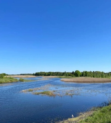 У нацпарку на Рівненщині досліджували флору та фауну (ФОТО)