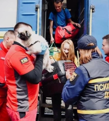 У Ковелі зустріли черговий евакуаційний поїзд з Донеччини