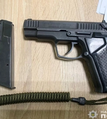 Чернігів: чоловік стріляв у собаку з травматичного пістолета, йому загрожує до трьох років ув’язнення