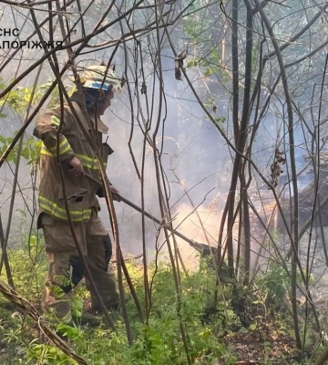 У Запоріжжі ліквідовано пожежу на відкритій території загальною площею 6 га