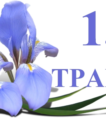 Сегодня 13 мая: какой праздник и день в истории