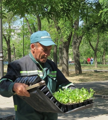 В миколаївському парку «Юних героїв» висадили квіти, вирощені в теплиці на території парку «Ліски»