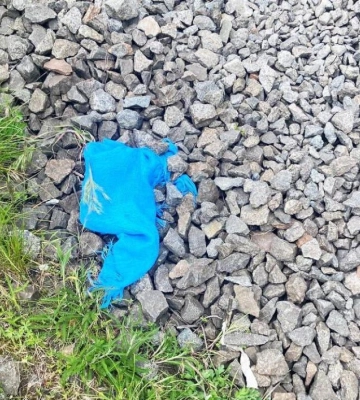 Смерть на коліях: на Рівненщині під колесами потяга загинула жінка
