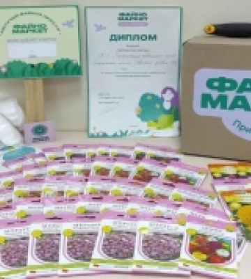 Школярі Кіровоградщини та Черкащини створюють «Квітучий файний простір»