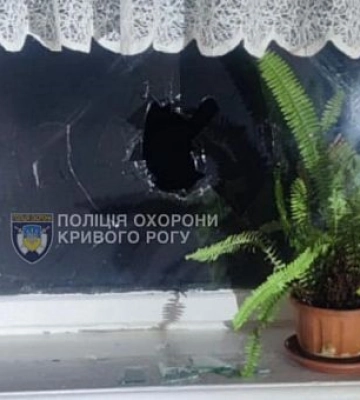 Розбив вікна школи: поліцейські Кривого Рогу затримали хулігана