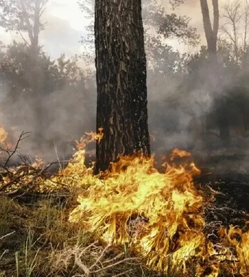 Росіяни зайшли на околиці Вовчанська та на Вовчанський мʼясокомбінат, але місто під контролем ЗСУ – журналіст