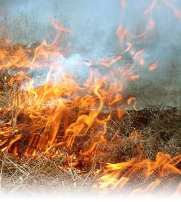 У Дніпрі та області оголошена пожежна небезпека 5 класу