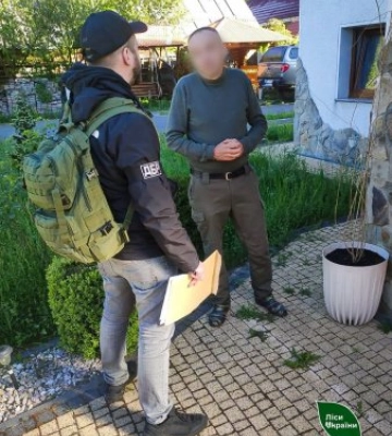 На Закарпатті перевірка лісових господарств