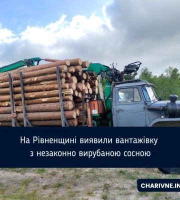 На Рівненщині виявили вантажівку з незаконно вирубаною сосною