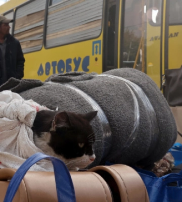 Поліція Харківщини вивозить людей з-під обстрілів броньованим спецтранспортом