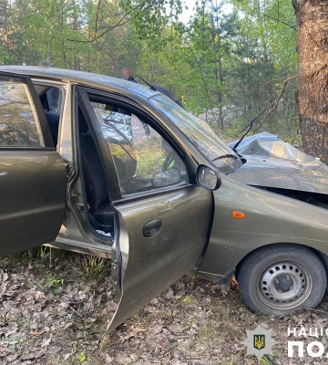 Автівка з львів’янкою за кермом влетіла в дерево поблизу Коростеня