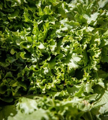 Де цього тижня у Києві пройдуть продуктові ярмарки. Адреси