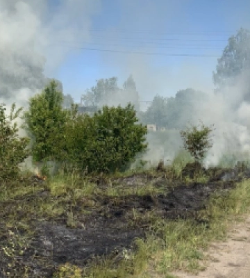 За минулу добу вогнеборці Львівщини ліквідували 20 пожеж сухої трави