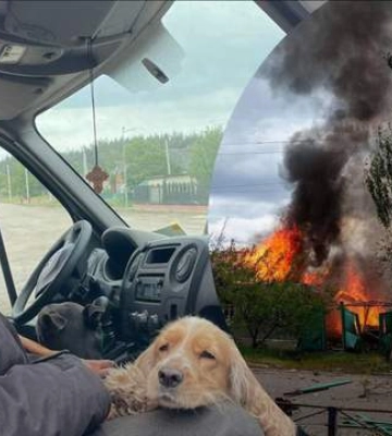 Три собаки, фотоальбом, документи: житель Вовчанська 15 км йшов пішки, щоб евакуюватися з-під обстрілів