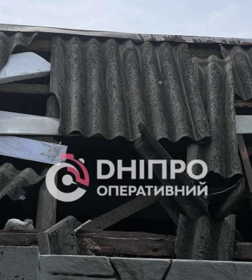 У Дніпрі через ракетний удар росіян постраждав притулок для тварин