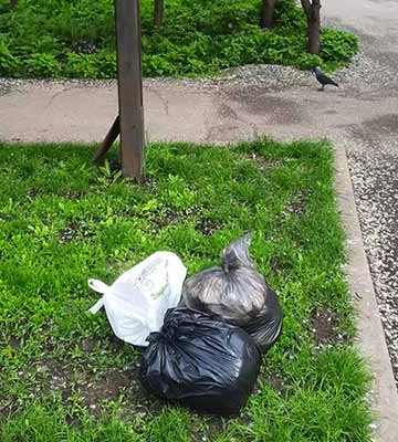 У Гребінці жінку оштрафували за залишене на вулиці сміття