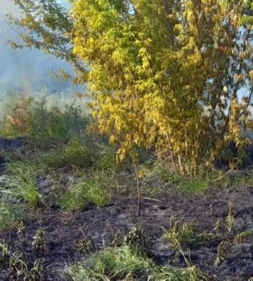 Вісім пожеж на відкритих територіях ліквідували рятувальники Рівненщини впродовж минулої доби