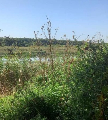 48 га земель та водойм вартістю 1,8 млрд грн повернуто громаді на Дубенщині