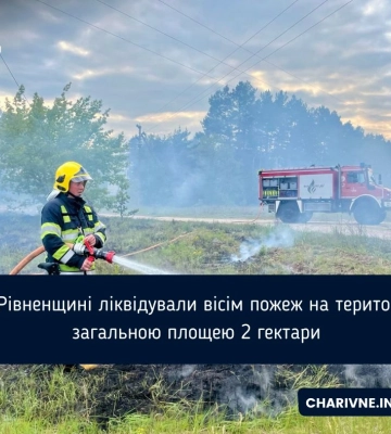 На Рівненщині ліквідували вісім пожеж на територіях загальною площею 2 гектари