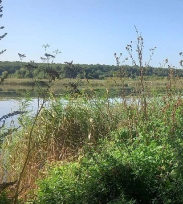 На Рівненщині громаді повернуто землі та водойми вартістю 1,8 млрд грн, – прокуратура