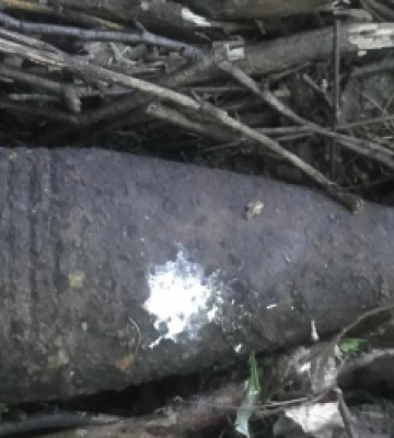 У лісі на Львівщині виявили застарілий боєприпас