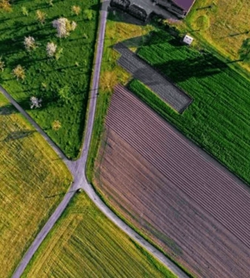 У Львівській області на аукціоні продадуть 13 земельних ділянок