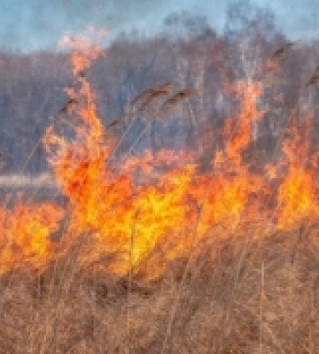 На Волині та Рівненщині попереджають про пожежну небезпеку