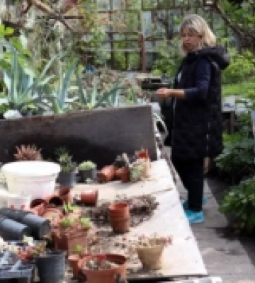 «Рослинам не поясниш, що у нас війна»: Одеський ботсад оговтується від російського ракетного удару та збирає гроші на відновлення&amp;hellip;