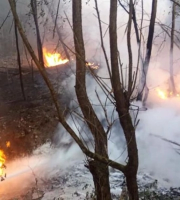 Понад 1000 людей евакуйовано за три дні з Білопілля і Ворожби у прикордонні Сумщини