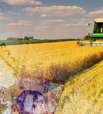 43 мільярди гривень отримали аграрії з початку року на розвиток господарств