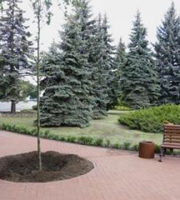 У Кременчуці відкрили новий сквер